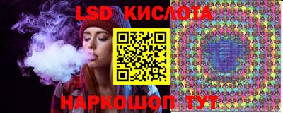 стафф Бердск